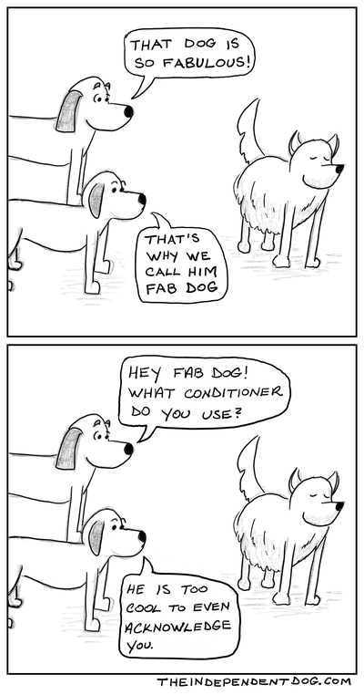 Fab Dog
