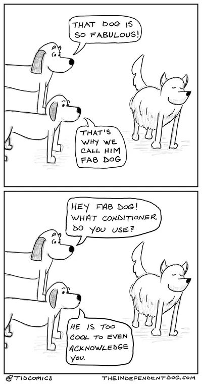 Fab Dog